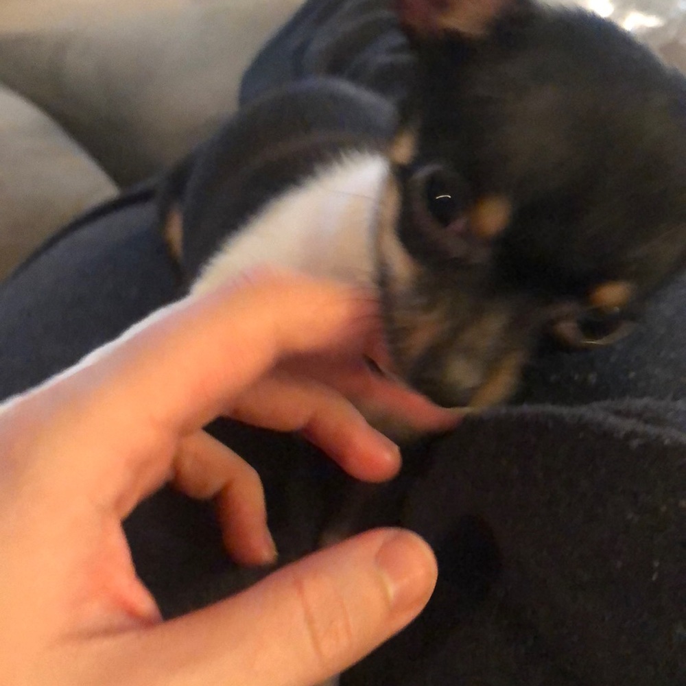 Meet your Posher, Kayla